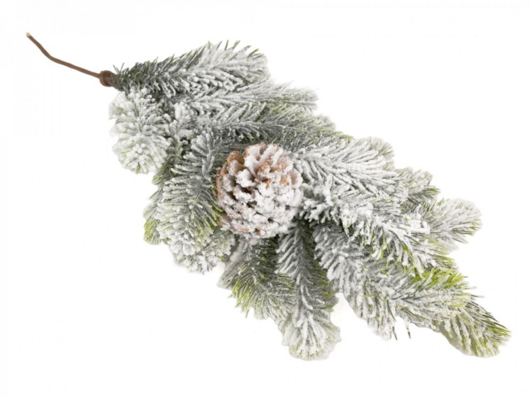 Eglės šaka snieguota