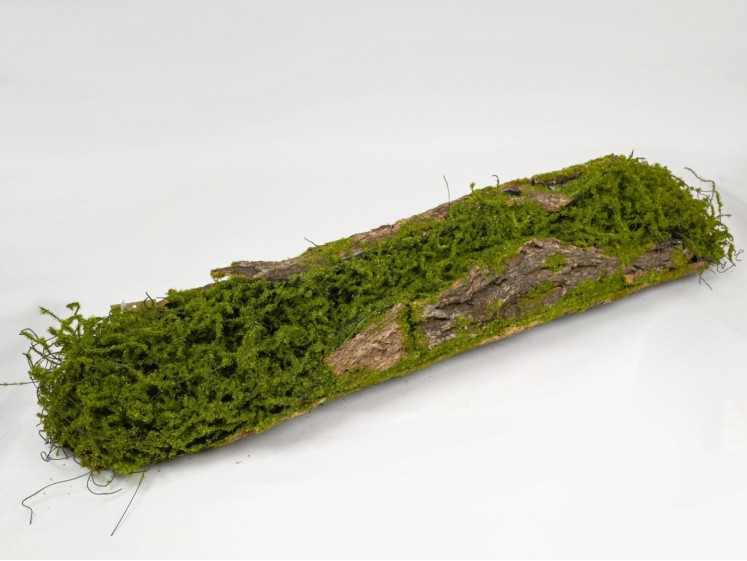 Moss decoration