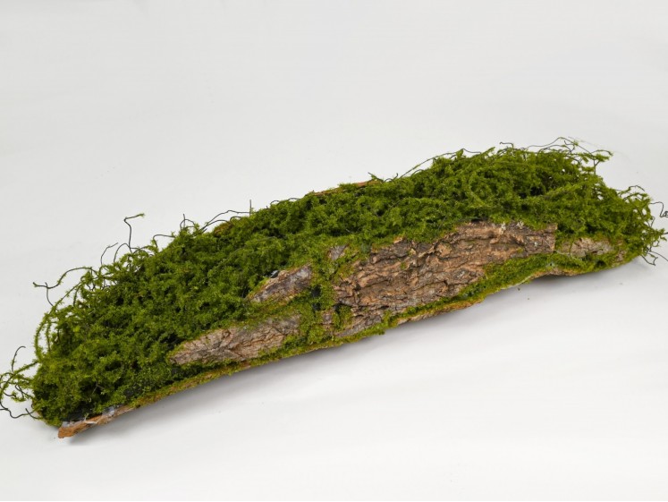 Moss decoration