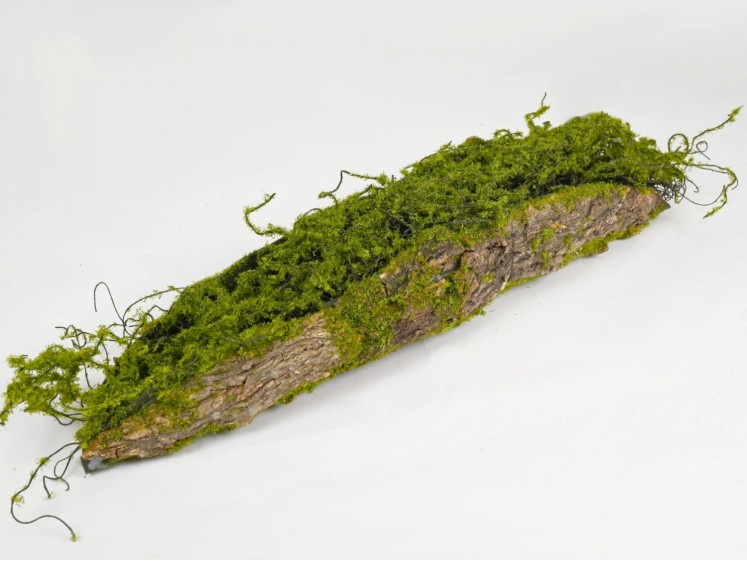 Moss decoration