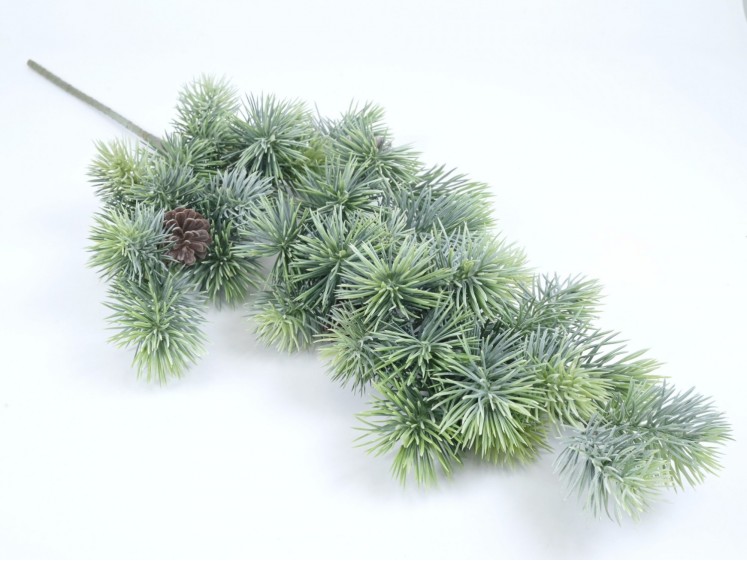 Pine Tree Branch