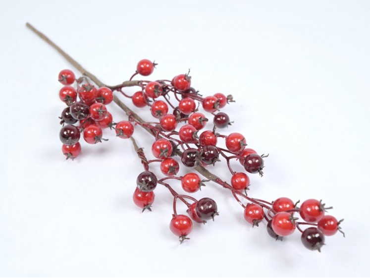 Red berry branch