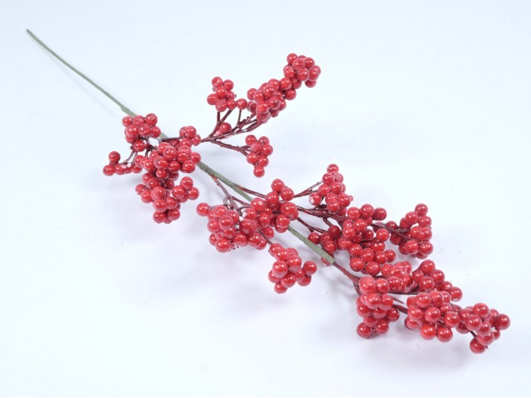 Berry branch