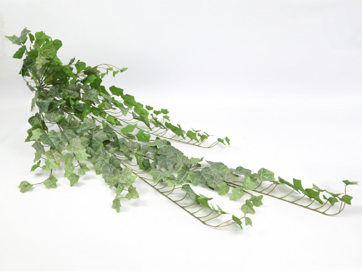 Hanging greenery