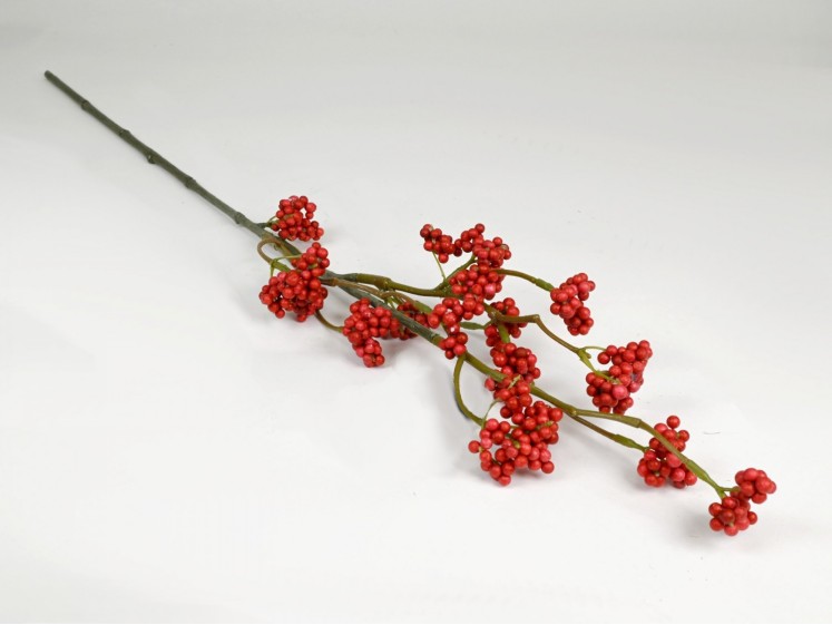 Branch with Berries