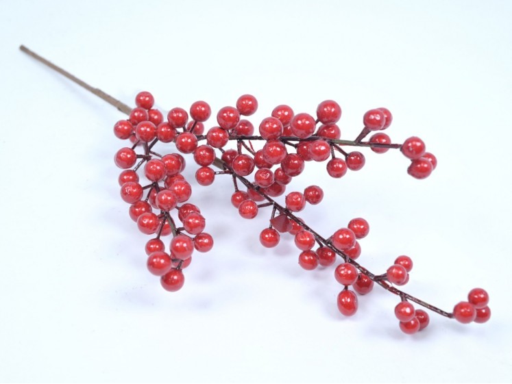 Red berry branch