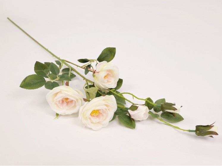 Rožės šaka CR. PINK