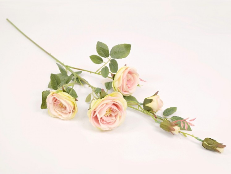 Rožės šaka GR.PINK