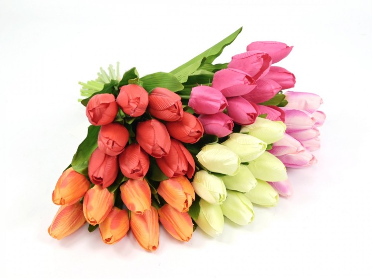 Bouquet of Tulips S/9