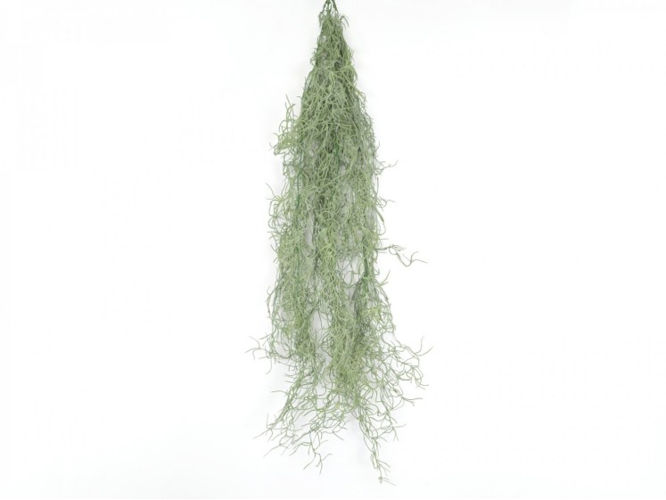 Hanging Greenery TIllandsia...