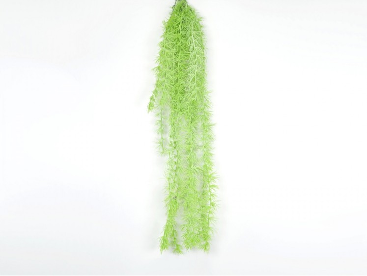 Hanging greenery