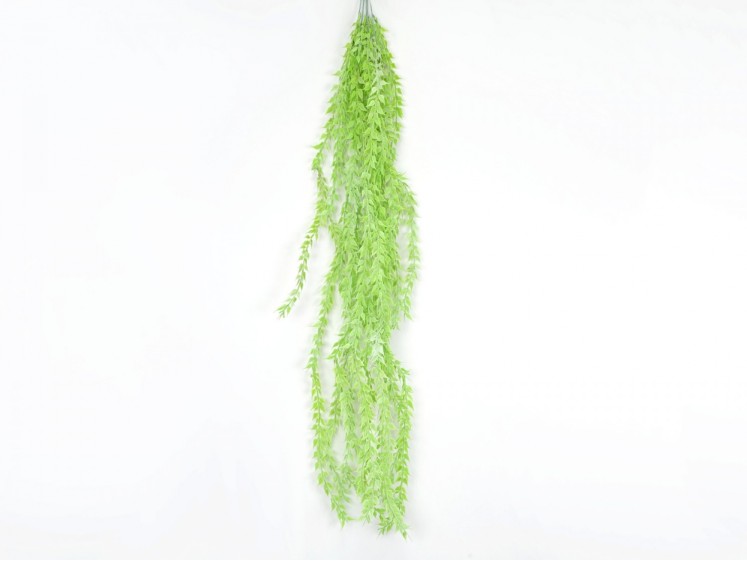 Hanging greenery