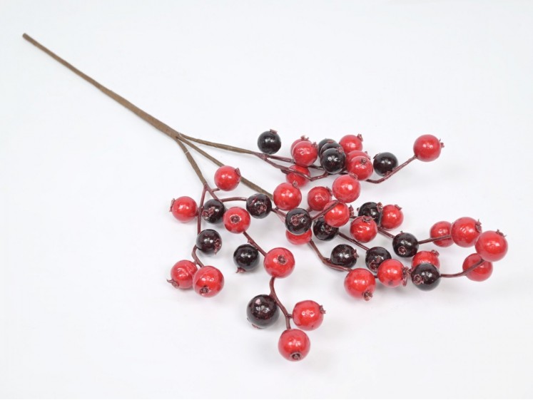 Branch with berries