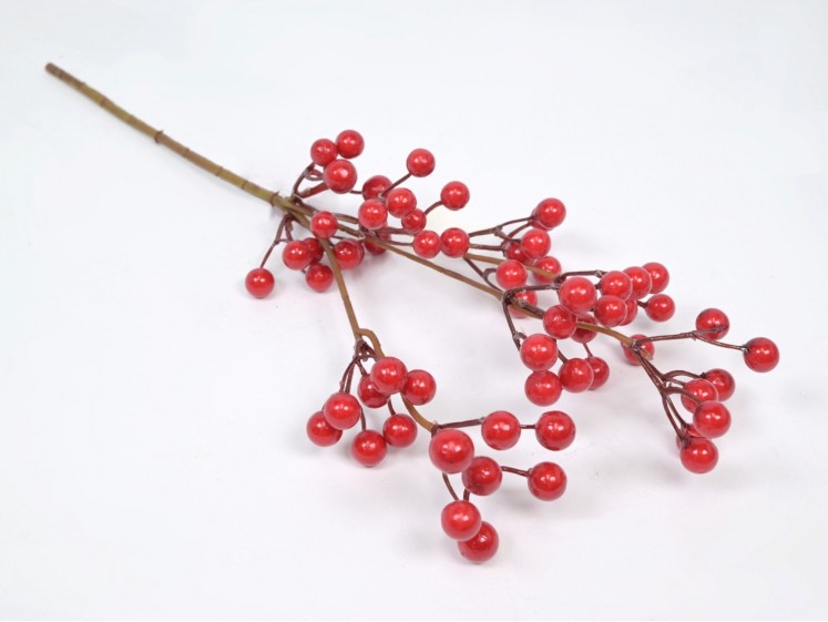 Branch with berries