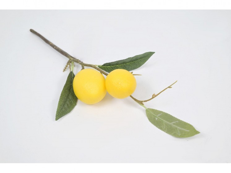 Branch with lemons