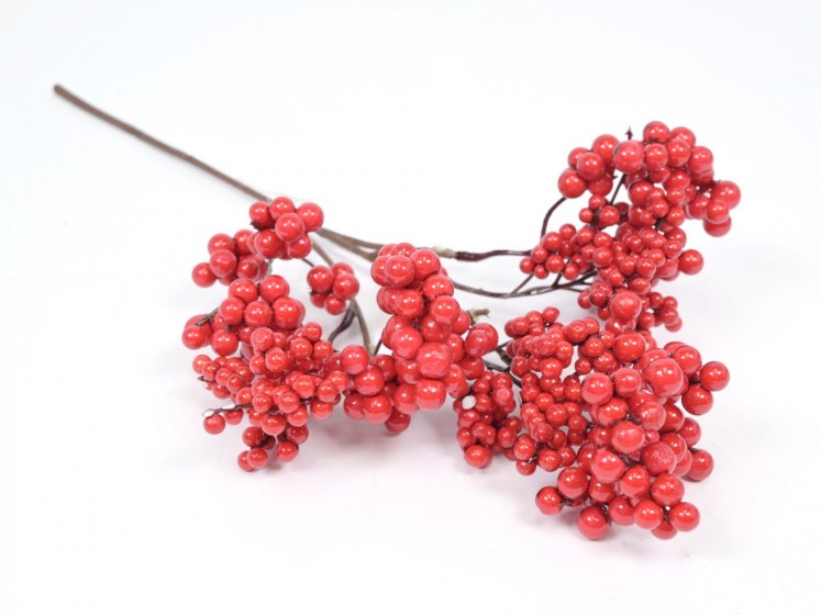 Branch with berries