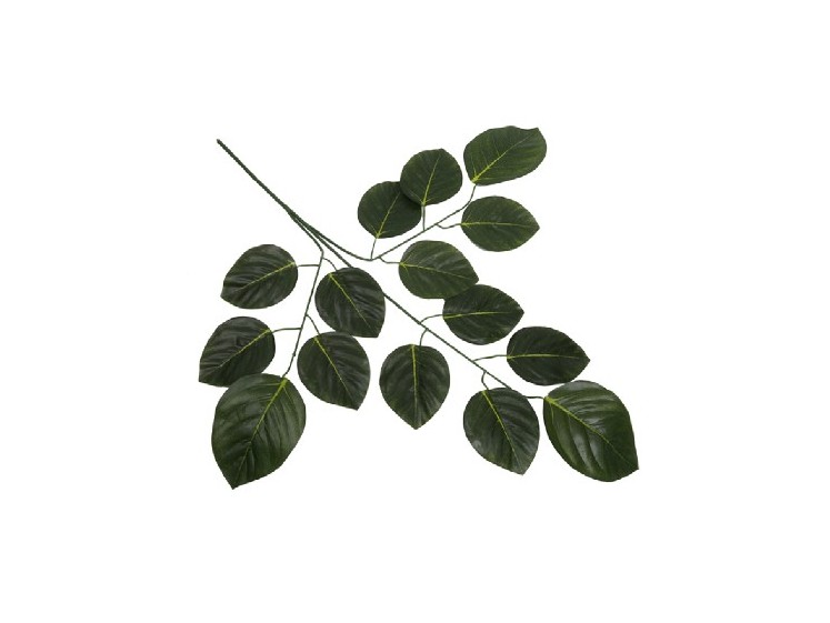 Artificial leaves