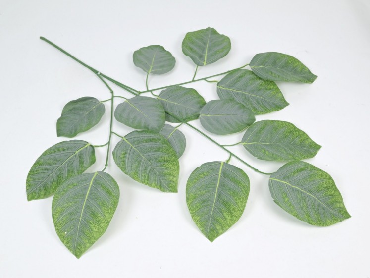 Artificial leaves