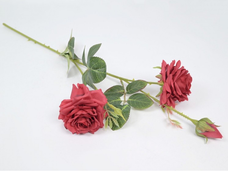 Rose branch