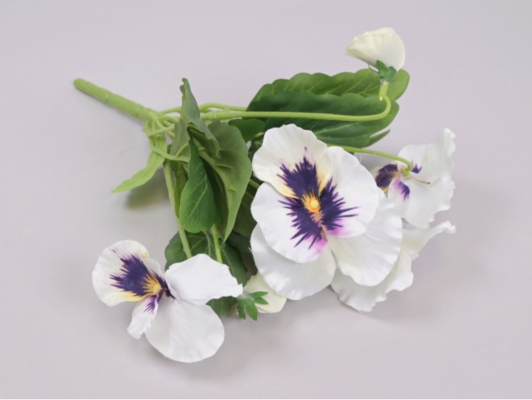 Pansy Bush