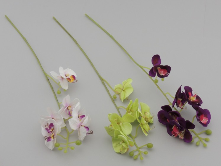 Small Orchid MIX