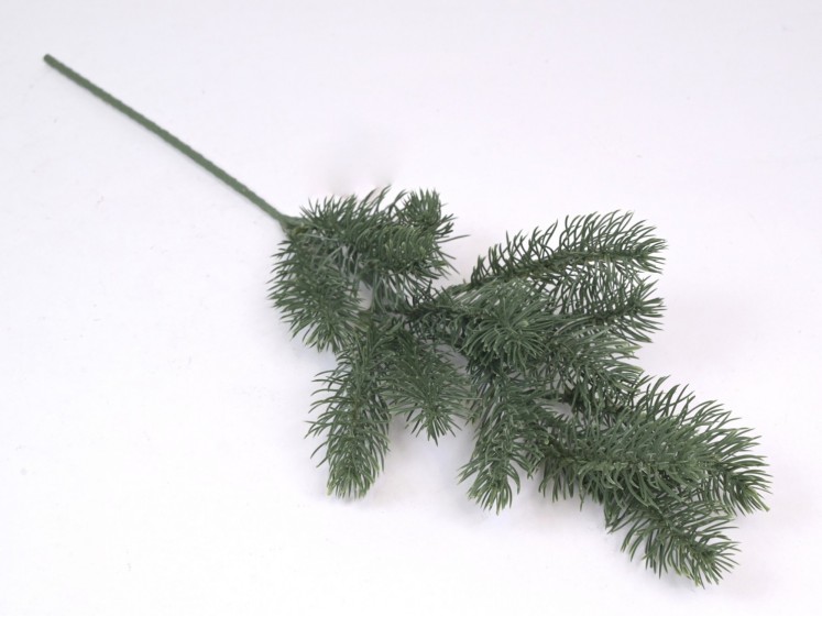 Christmas branch