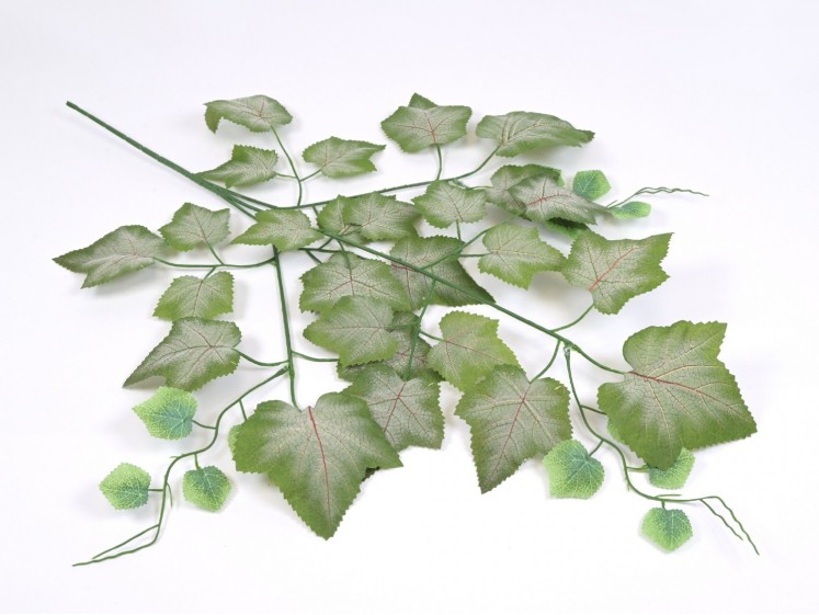 Artificial leaves