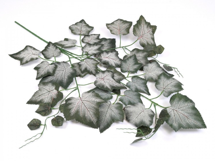 Artificial leaves