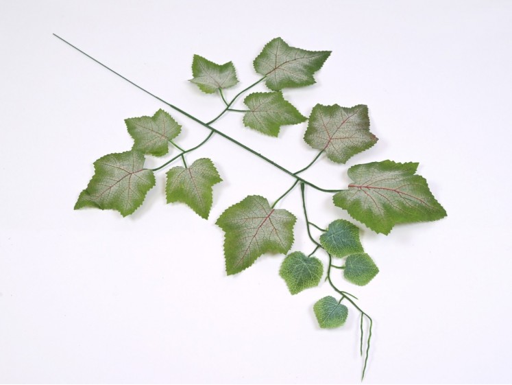 Artificial leaves