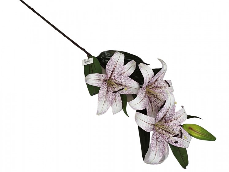 Lily branch