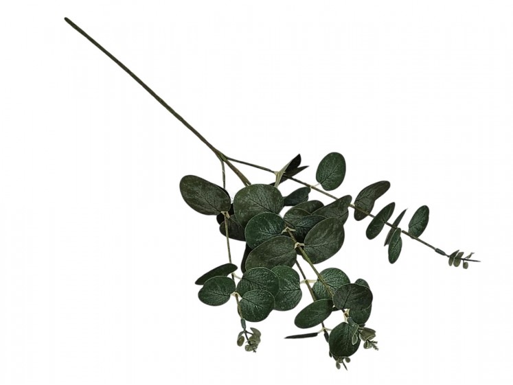 Eucalyptus branch x4