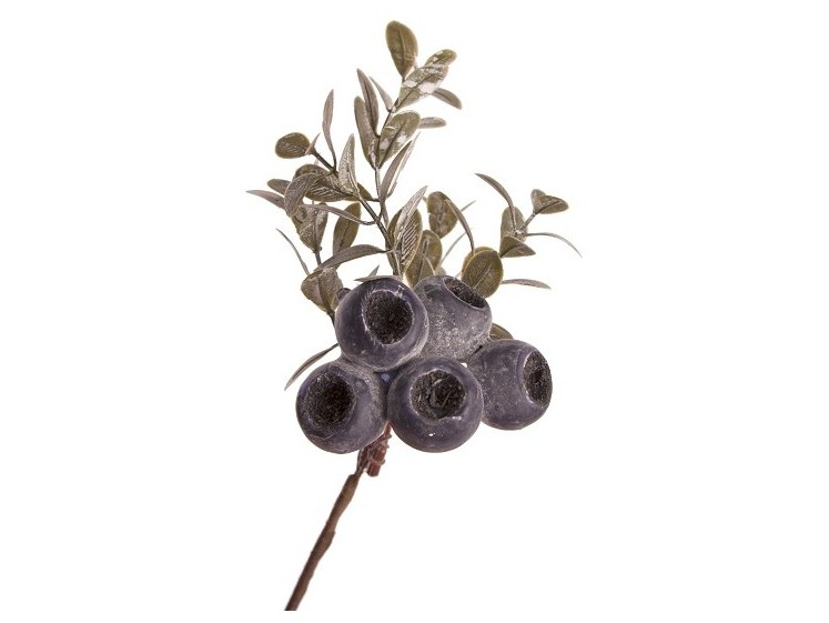 Sprig of Blueberries