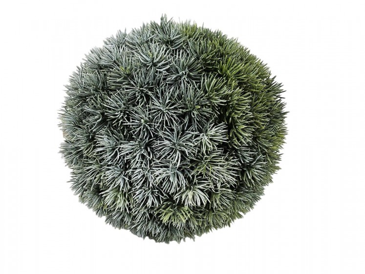 Pine Ball in a Pot 63cm