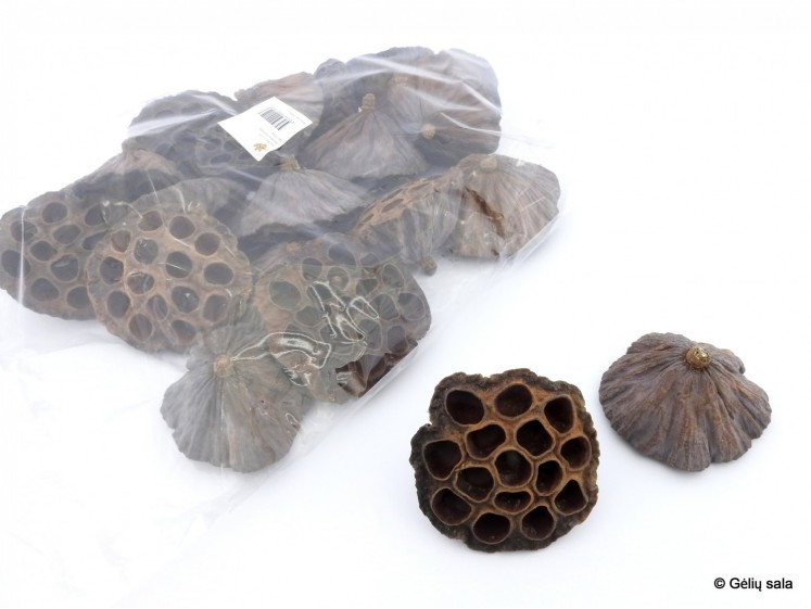 Dried Lotus 8-10cm