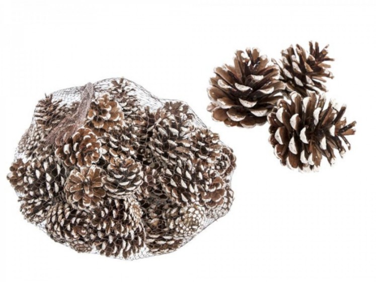 Pine Cones In a Bag