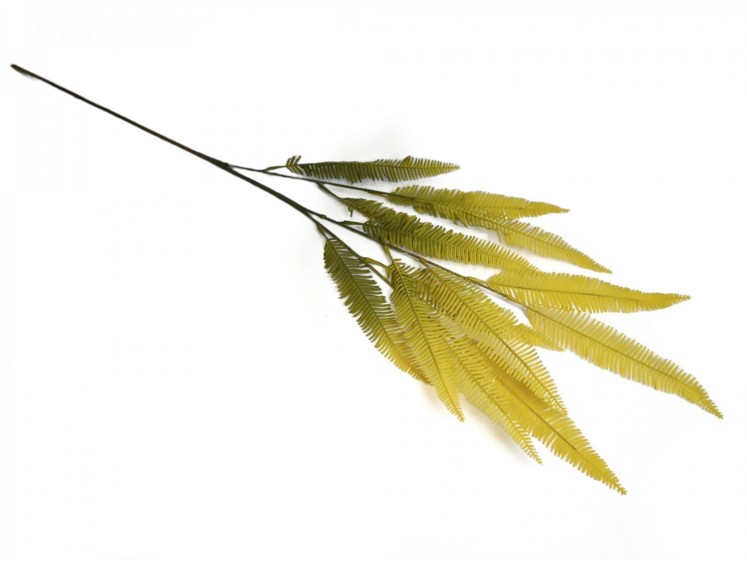 Paparčio šaka 100 cm