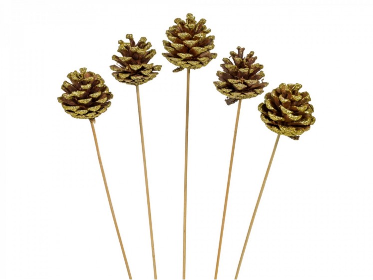 Pinecone on a Stick