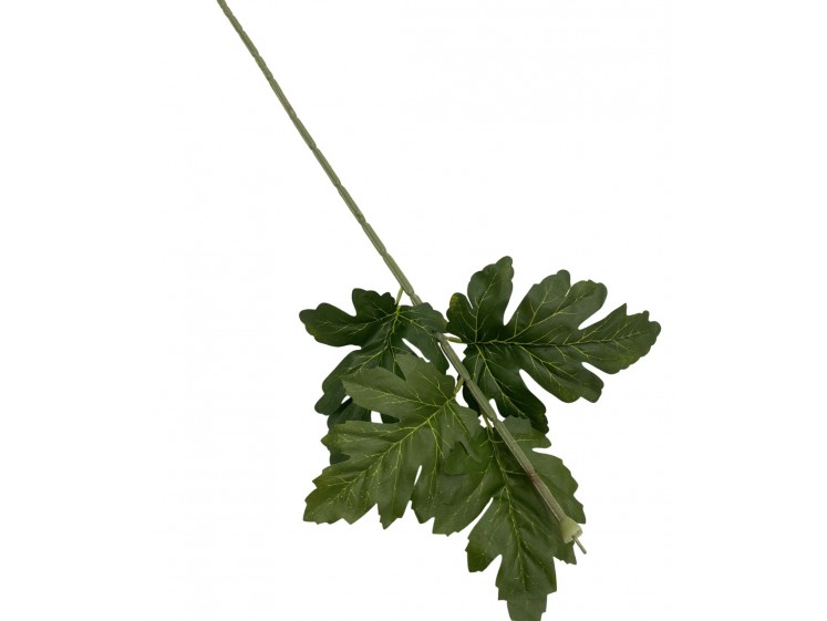 Łodyga chryzantemy