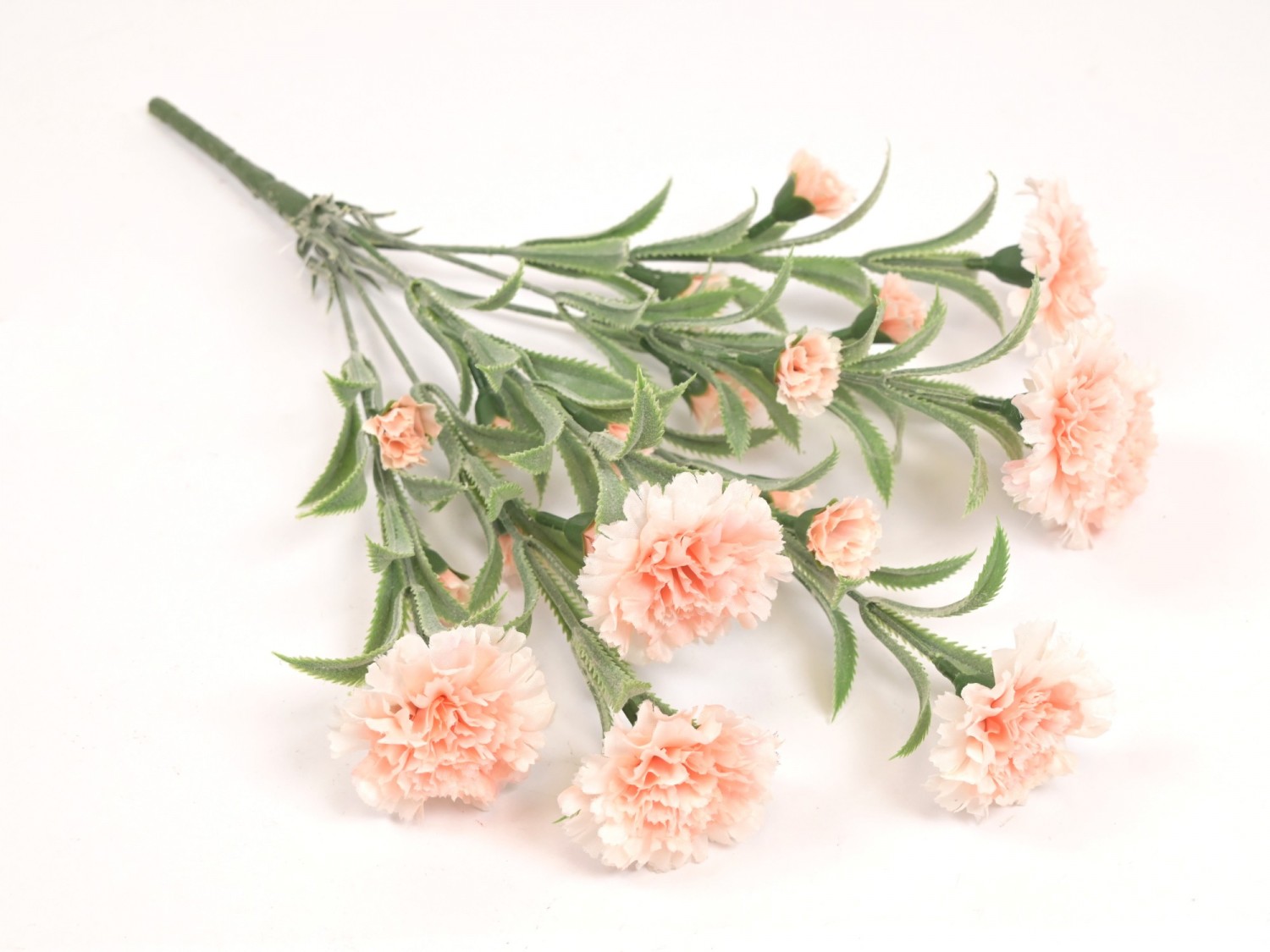 Bouquet of Carnations