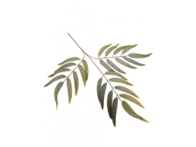 Artificial leaves