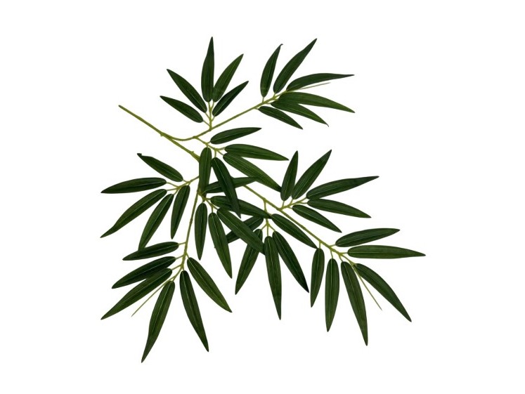 Artificial leaves