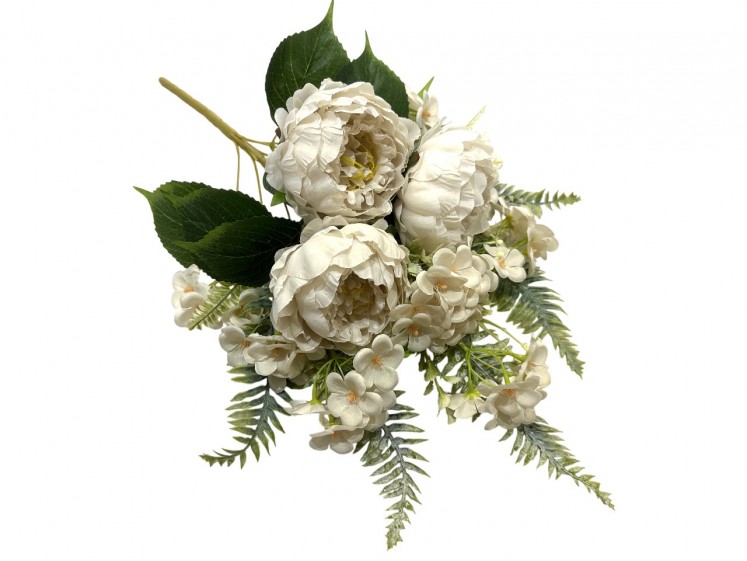 Bouquet of peonies