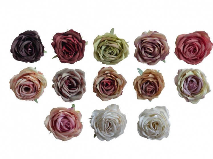 Rose head