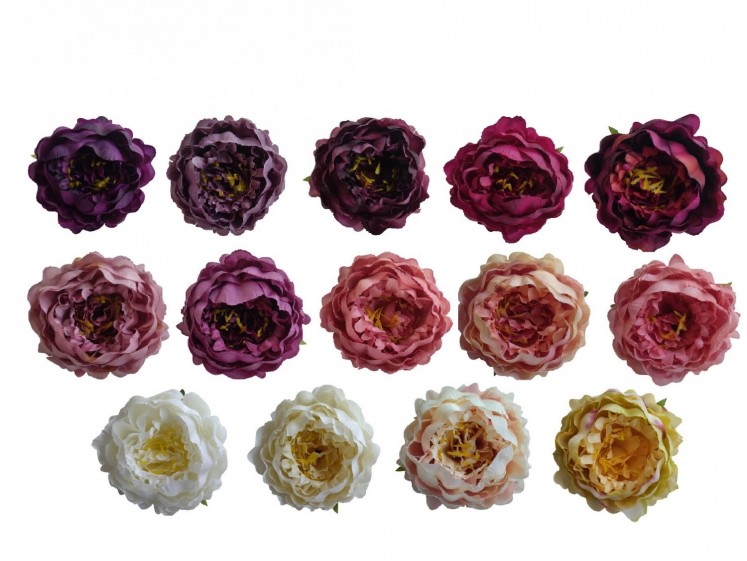 Peony head