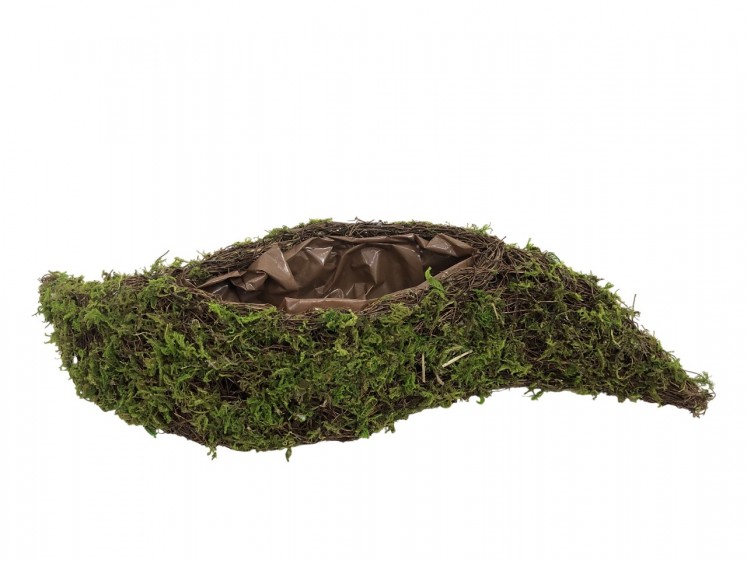 Wicker basket with moss