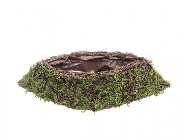 Wicker basket with moss