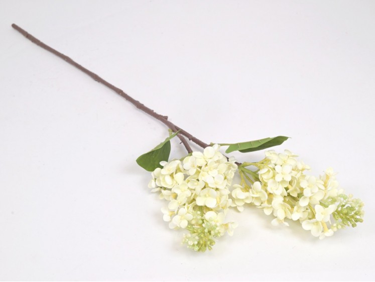 Syringa branch (real touch)