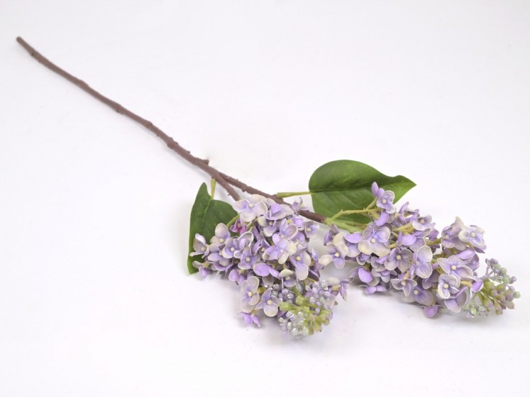 Syringa branch (real touch)