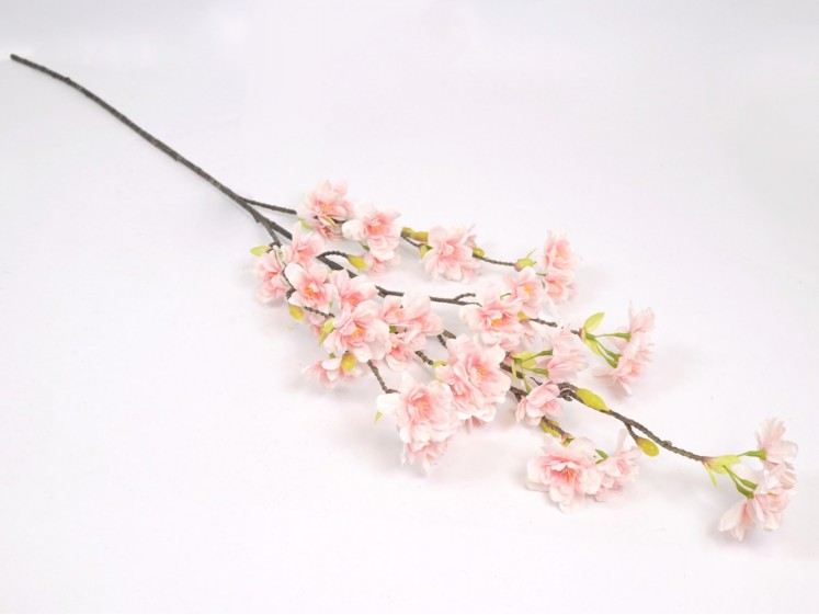 Blossoming cherry branch