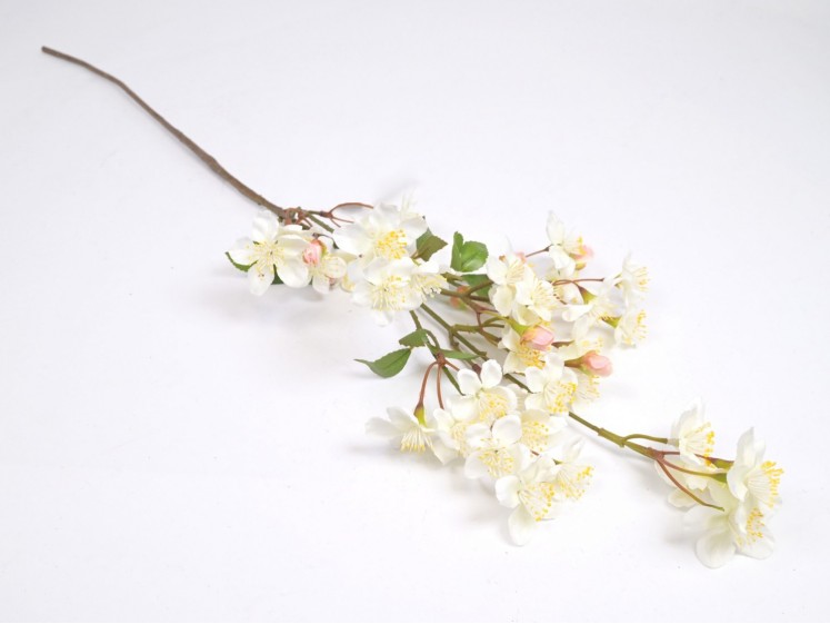 Flowering apple branch